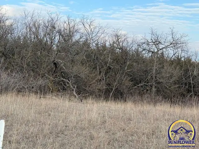 101st SE Croco Rd, Berryton, KS 66409 - #1