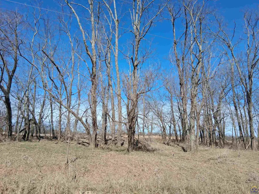 41 Lou Ann Dr, Lacygne, KS 66040 - #3