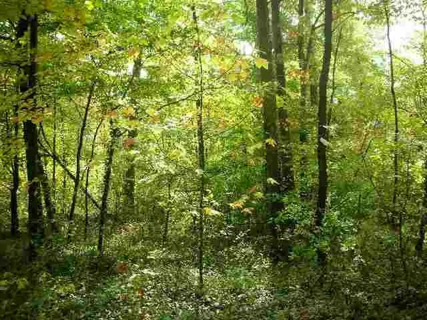 0 Amanda Furnace Drive, ashland, KY 41101