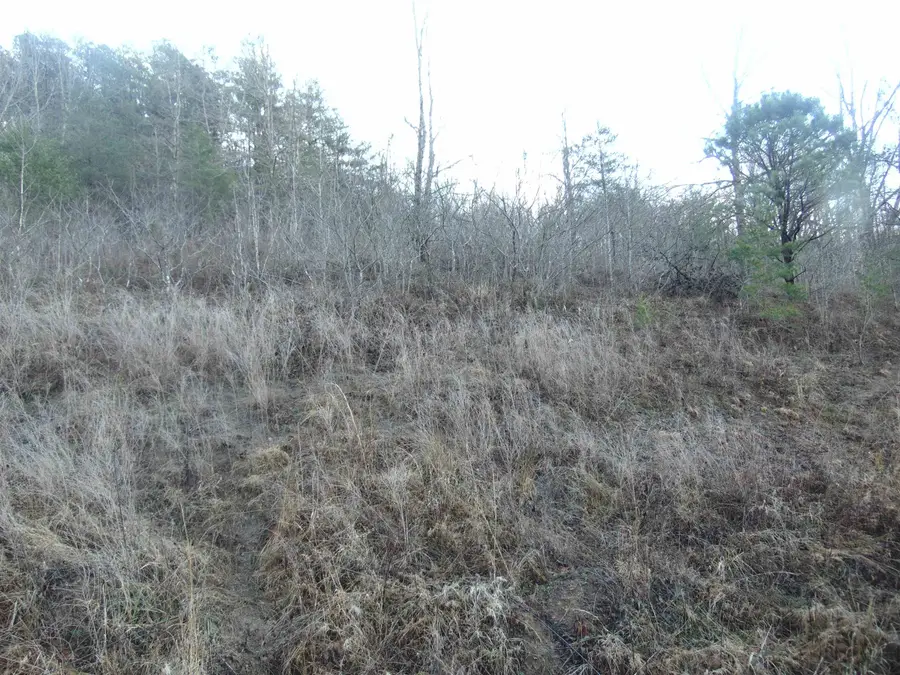 000 Belair land, Grayson, KY 41143 - Image #2