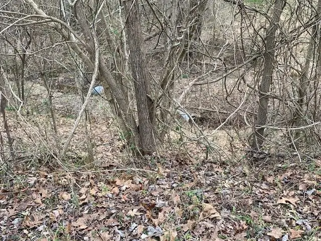 3907 Avery Street, Ashland, KY 41101 - Image #2