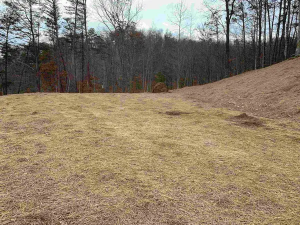 Upper Stinson, Lot 1, grayson, KY 41143