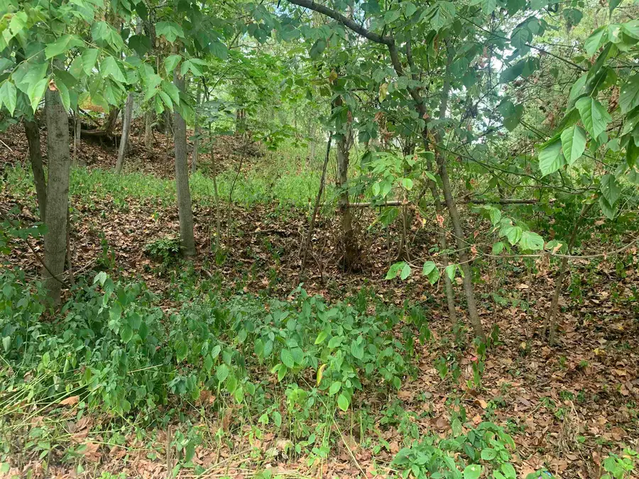 3017 LOOKOUT STREET, Ashland, KY 41101 - Image #2