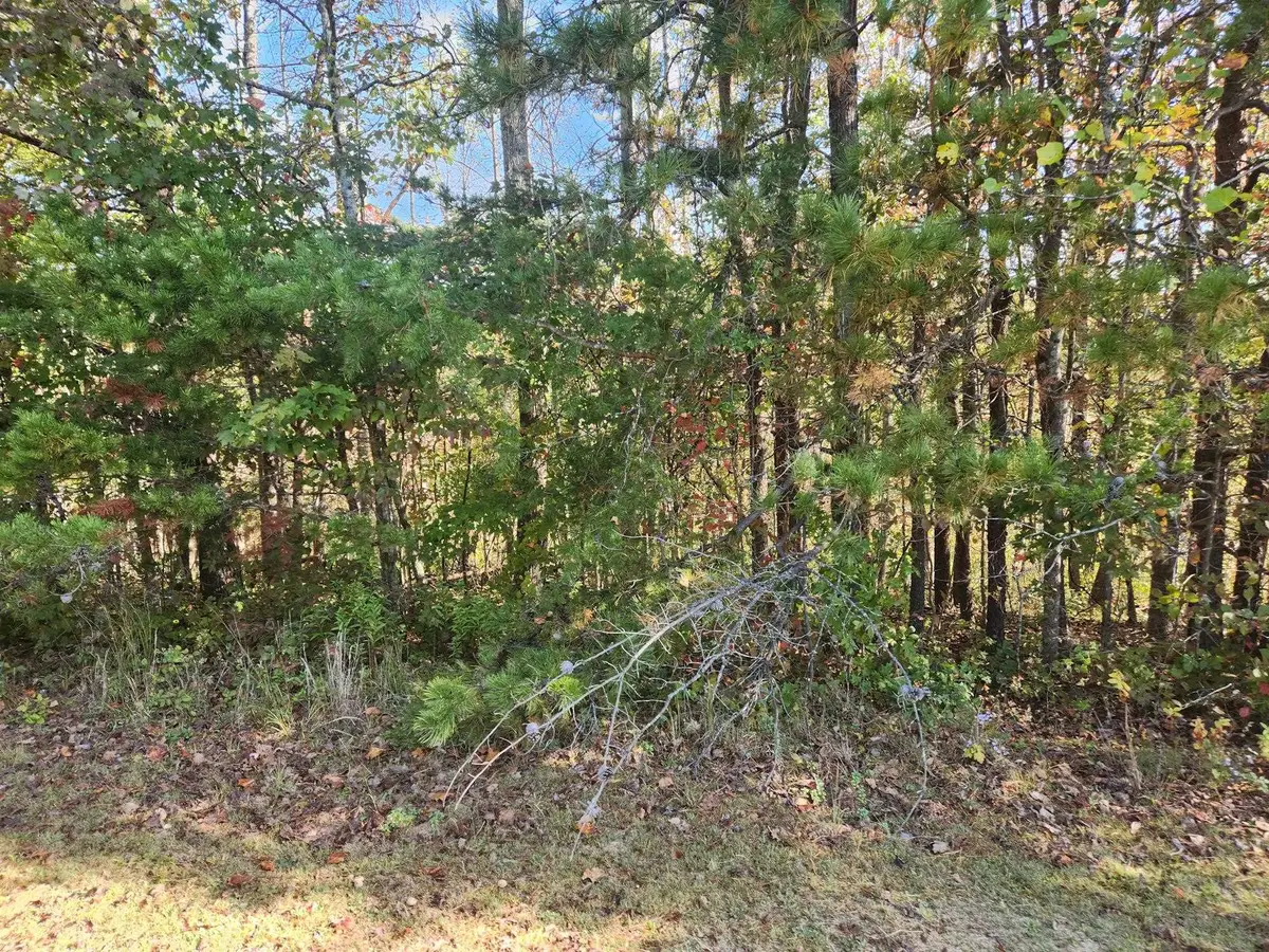 000 Kiser Fork Rd, Olive Hill, KY 41164 - #1