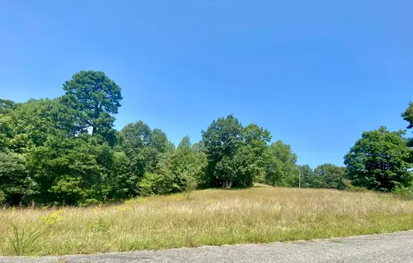 0 Hammer Mill Road, wurtland, KY 41144