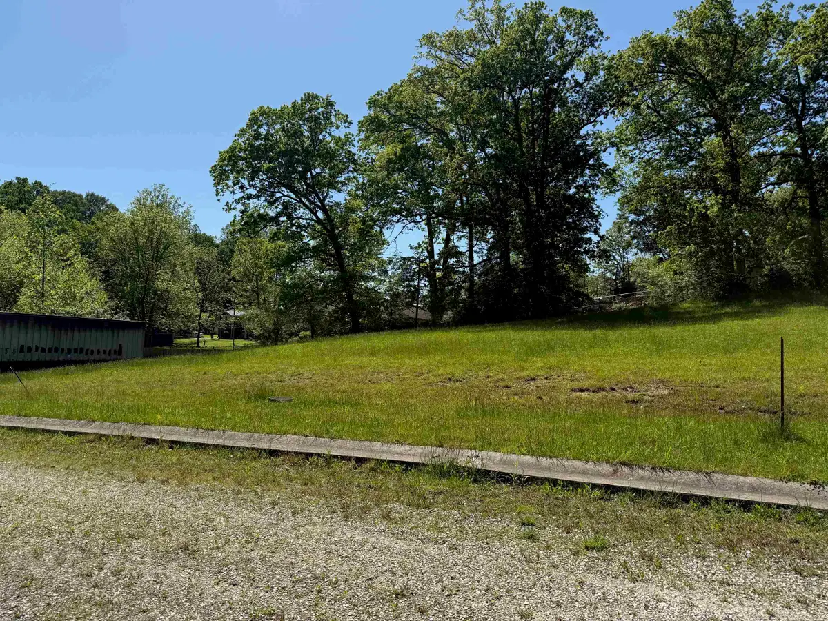 Lot #12 Meadow Glen Road, Flatwoods, KY 41139 - #1