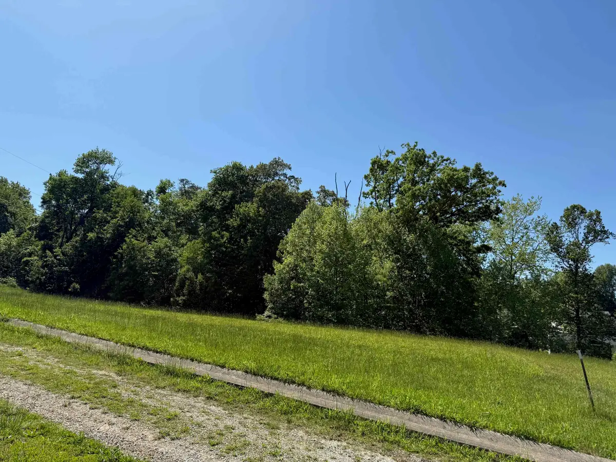 Lot #16 Meadow Glen Road, Flatwoods, KY 41139 - #1