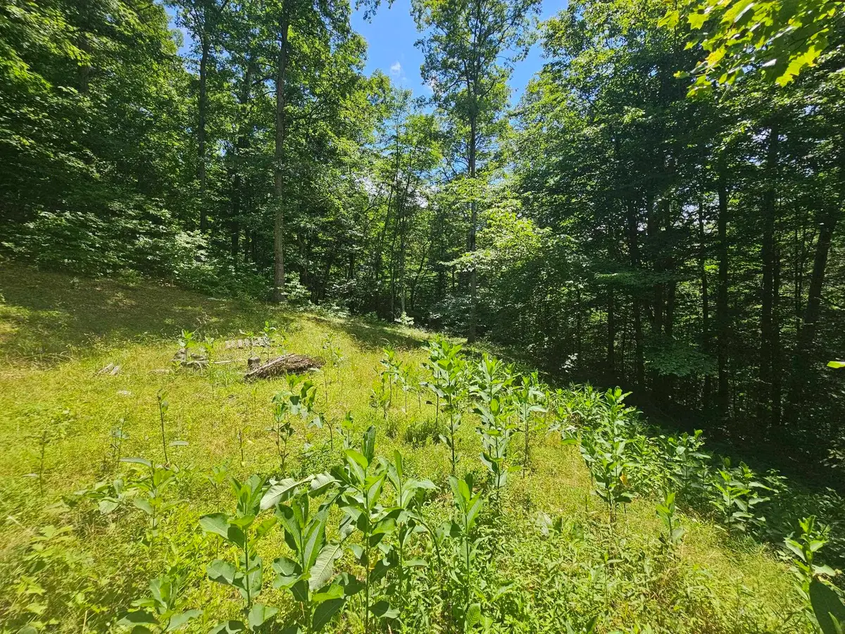 225,312, 322 Aaron Drive, Louisa, KY 41230 - #1