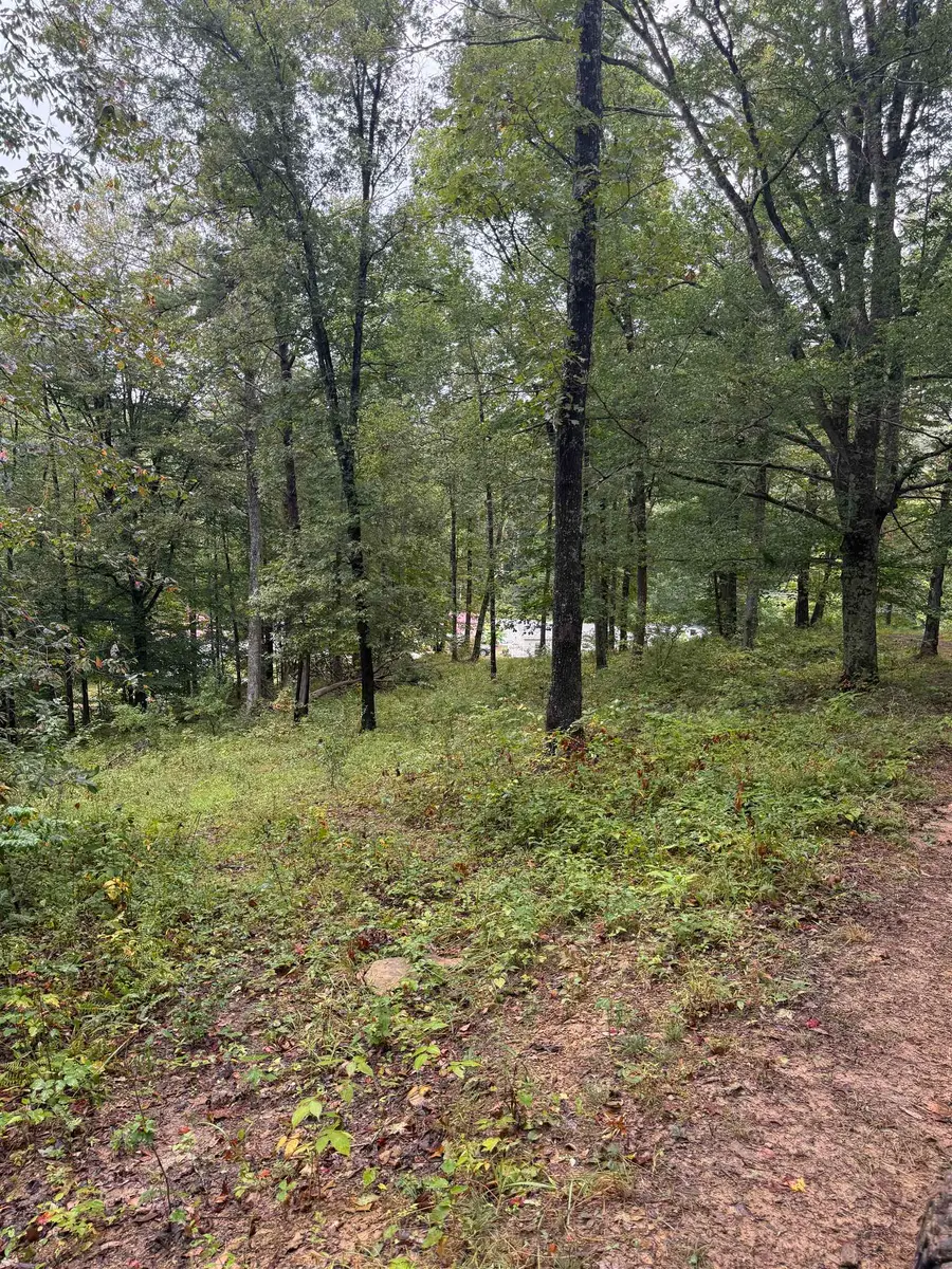 15709 Trace Road, Rush, KY 41168 - Image #3