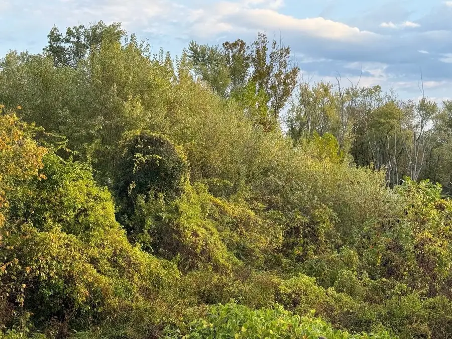 000 Seaton Ave Avenue, Greenup, KY 41144 - Image #2