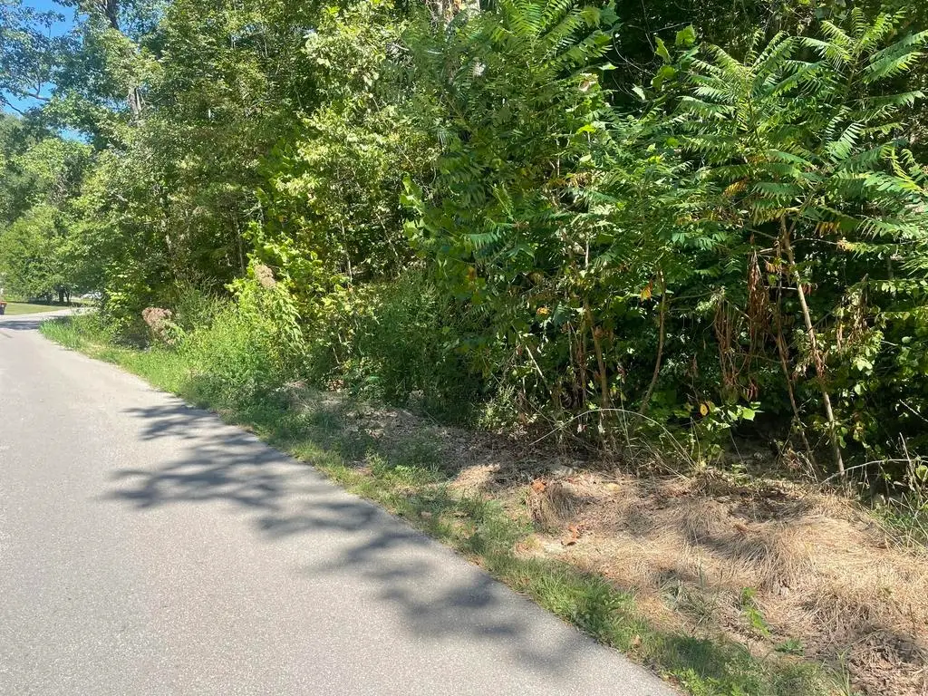0 PLUM FORK ROAD, South Shore, KY 41175 - Image #1