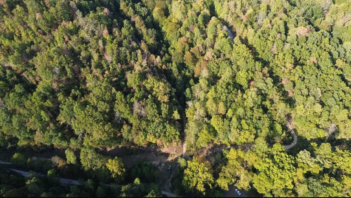 Brushy Road, Greenup, KY 41144 - Image #1