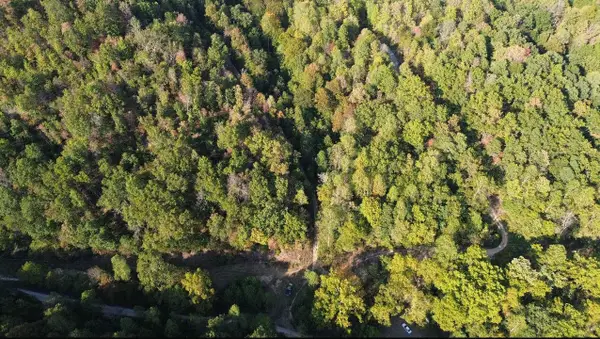 Brushy Road, greenup, KY 41144