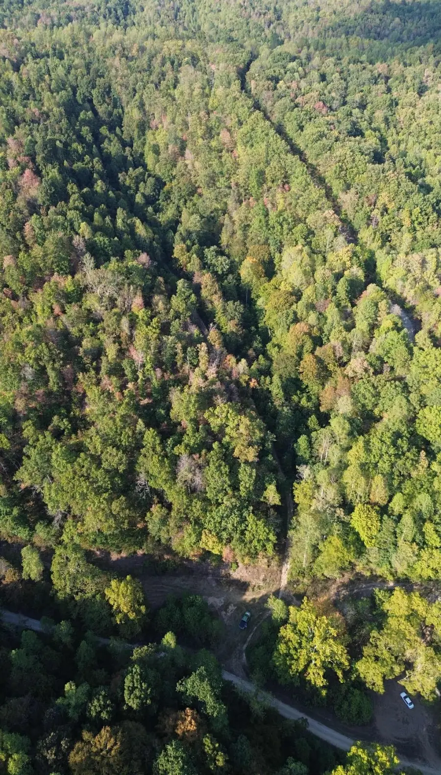 Brushy Road, Greenup, KY 41144 - Image #3