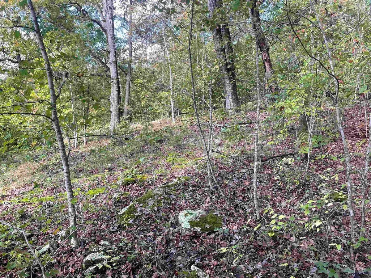 0 Route 1, Webbville, KY 41180 - Image #1