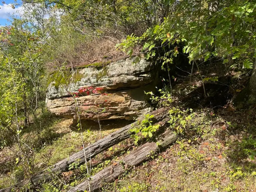 0 Route 1, Webbville, KY 41180 - Image #3