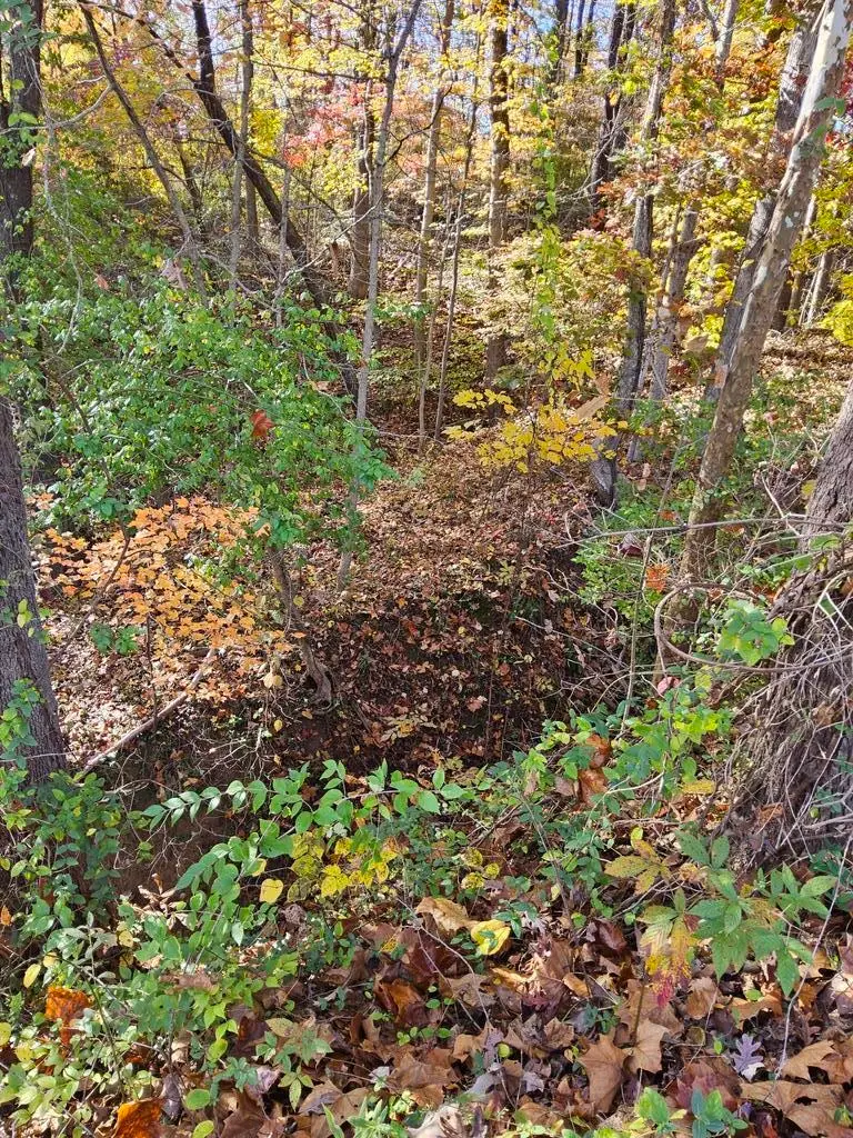 Clara Street, lots 18,26, half of 27, Ashland, KY 41102 - Image #1