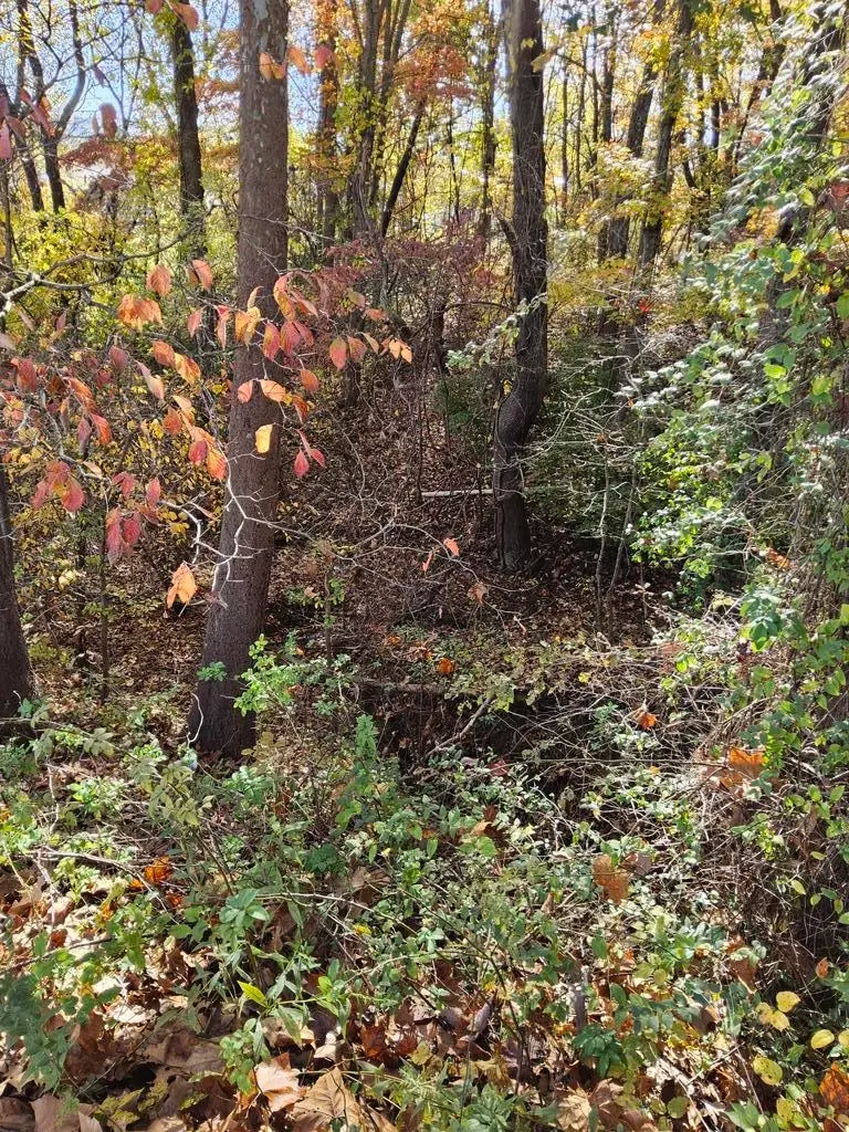 Clara Street, lots 18,26, half of 27, Ashland, KY 41102 - Image #2