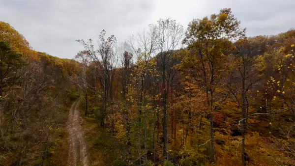 0 State Route 3, louisa, KY 41230