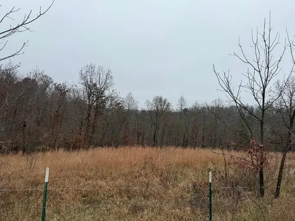 699 Wolfe Rd, olive hill, KY 41164