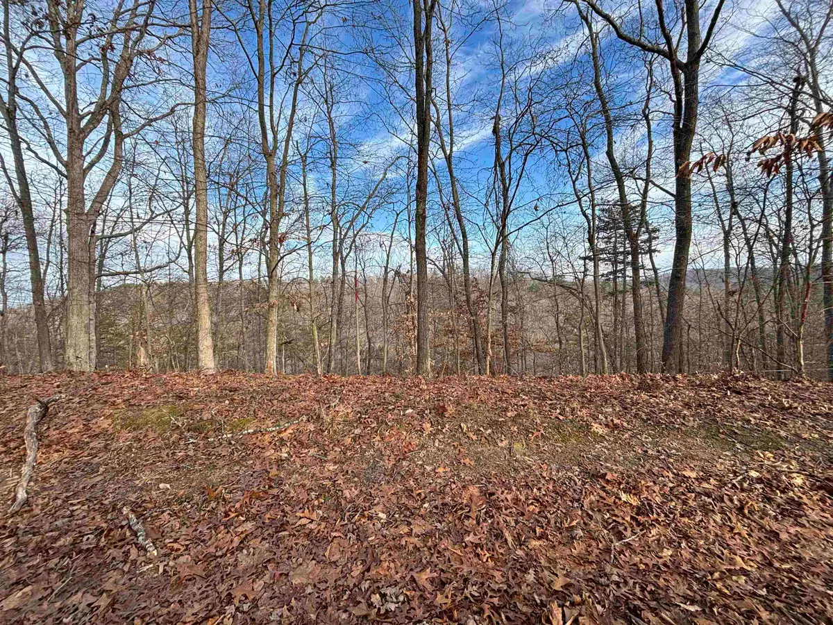 0 Dry Ridge, Louisa, KY 41230 - #1