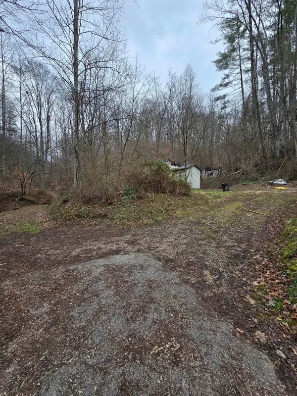 159 Apple Hollow Road, louisa, KY 41230