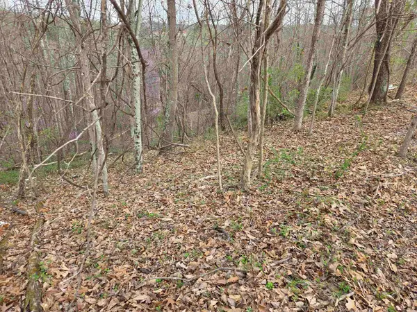 Kiser Fork Rd, olive hill, KY 41164
