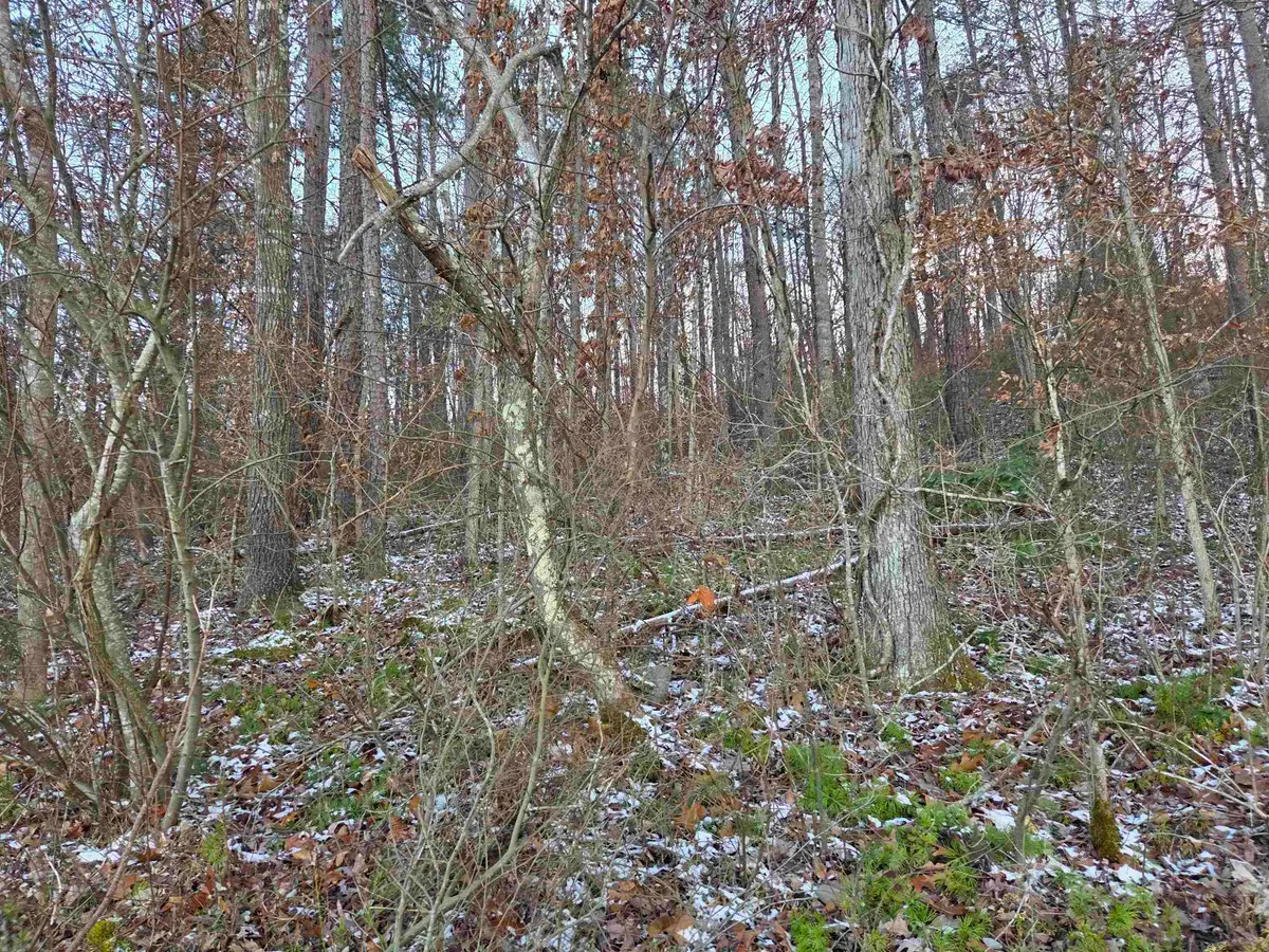 D Street, Louisa, KY 41230 - Image #1