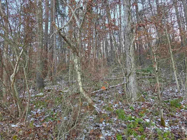 D Street, louisa, KY 41230