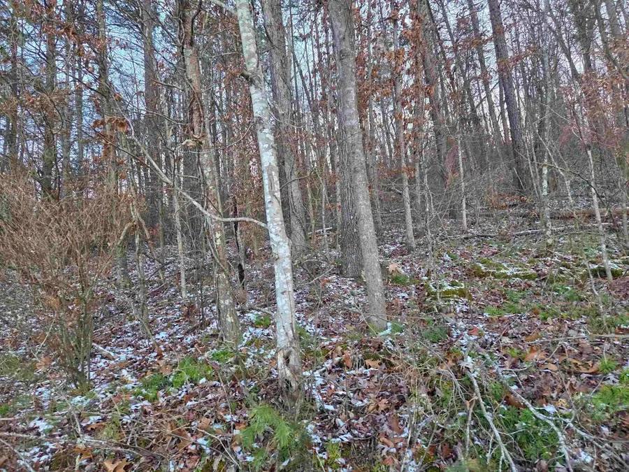 D Street, Louisa, KY 41230 - Image #2