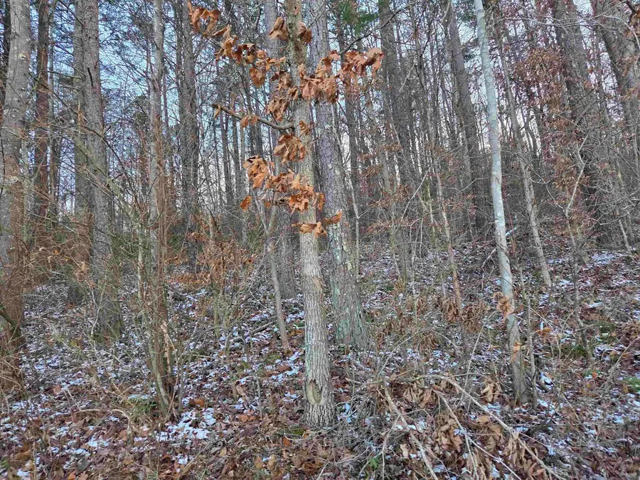 D Street, Louisa, KY 41230 - Image #3