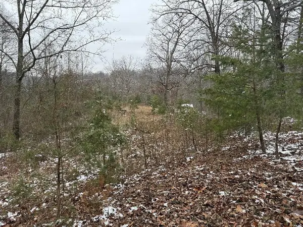 0 Whetstone Road, greenup, KY 41144