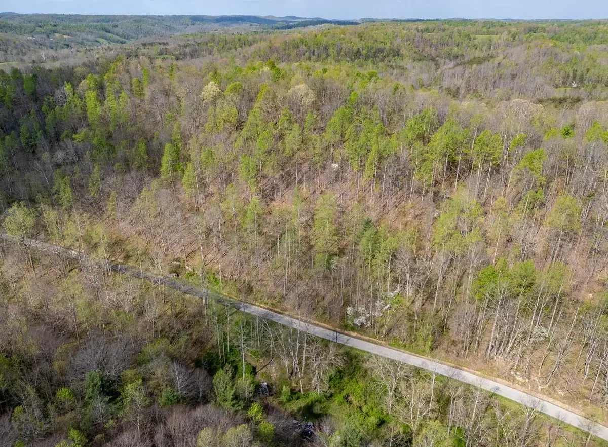 0 Brinegar Road, Morehead, KY 40351 - #1