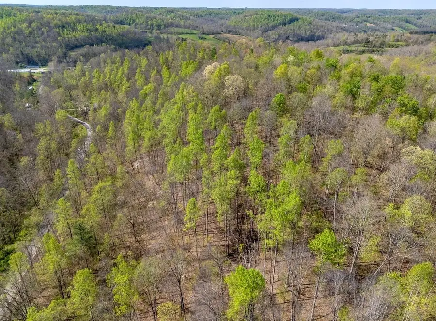 0 Brinegar Road, Morehead, KY 40351 - #3