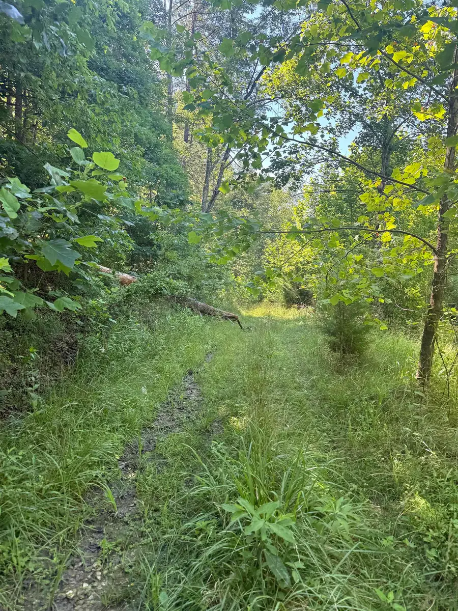 0 Kentucky 486, Sandy Hook, KY 41171 - #3