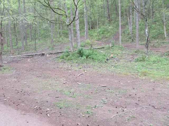 0 Keathley Fork Toler Creek, Harold, KY 41635 - Image #2