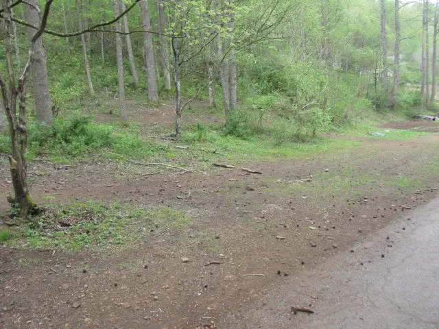 0 Keathley Fork Toler Creek, Harold, KY 41635 - Image #3