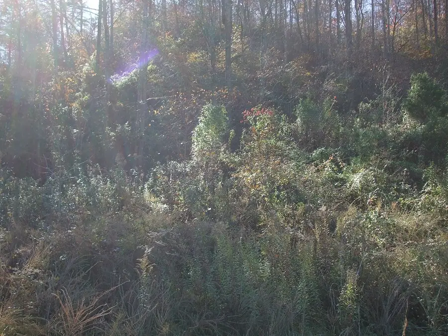 0 U.s. 23 North (lot 3) Db 442, Dp 586, Nippa, KY 41240 - Image #2