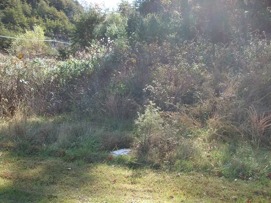 0 U.s. 23 North (lot 3) Db 442, Dp 586, Nippa, KY 41240 - Image #3