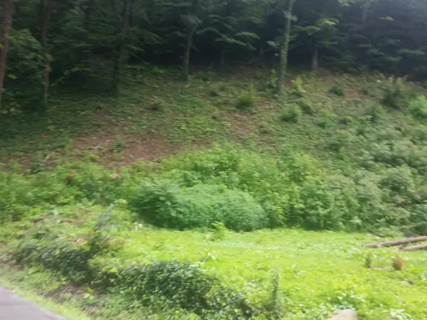 690 Ratliff Creek Road, Pikeville, KY 41501