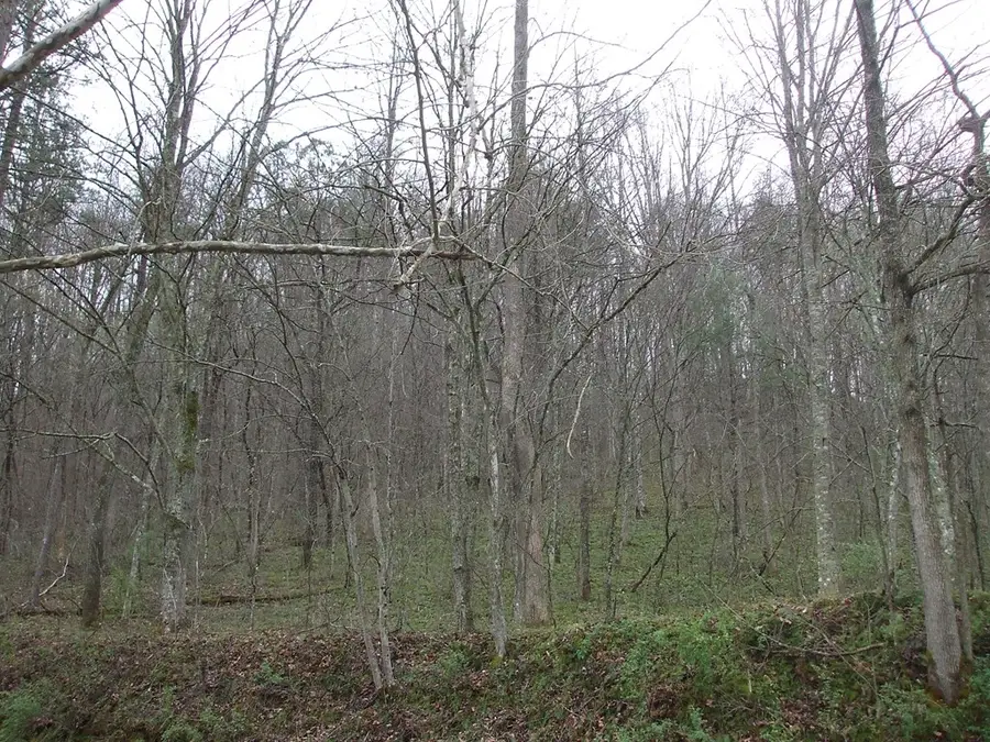 0 Castle Fork (db 456-099), Lowmansville, KY 41232 - Image #2