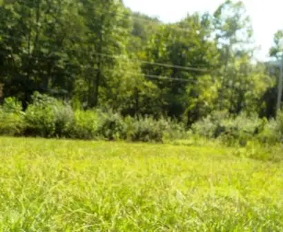 Lot13,14 Db 549,664 Pg. 352,102 Ivy Creek, Ivel, KY 41642 - Image #1