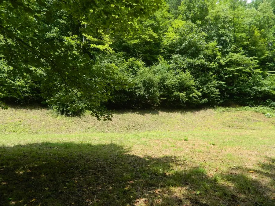 454 Newsome Branch, Virgie, KY 41572 - Image #3