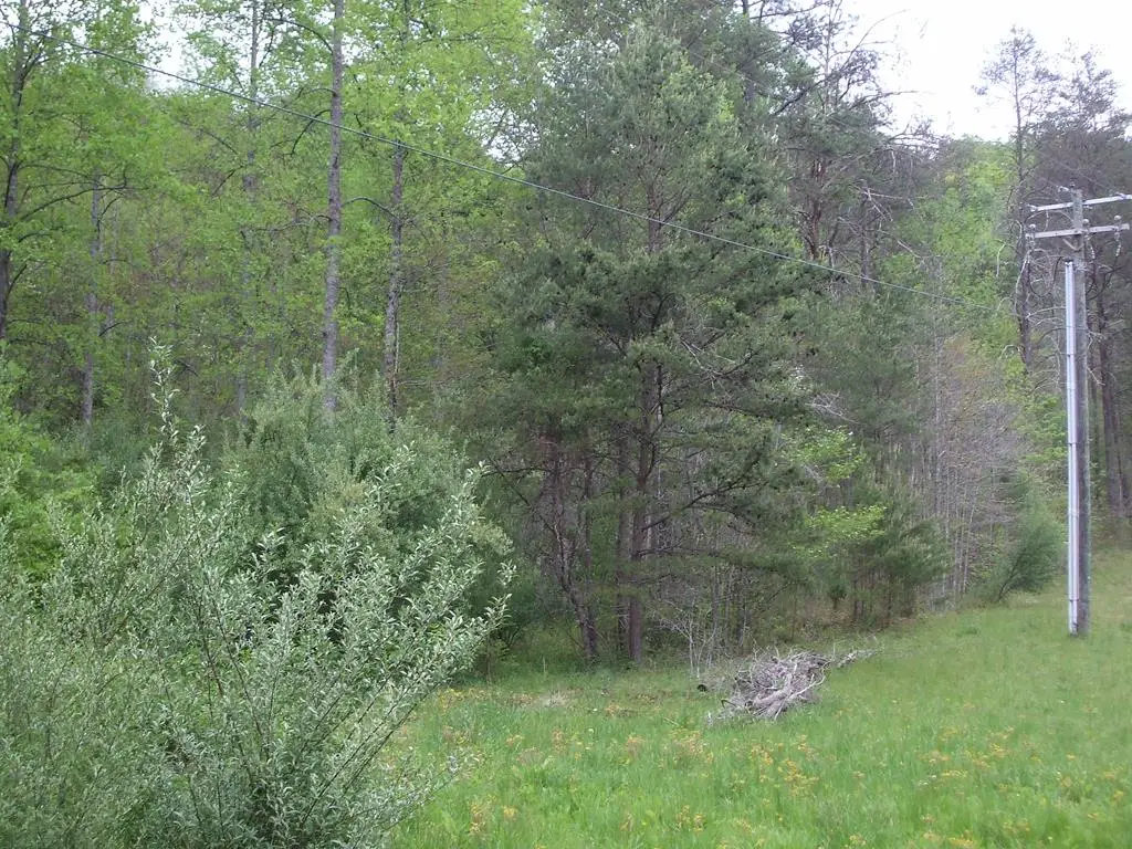 0 Happy Trails (db 340 Dp 074), Staffordsville, KY 41256 - Image #1