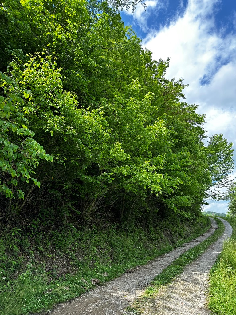 000 Polly Marcum Branch Road, Manchester, KY 40962 - #2