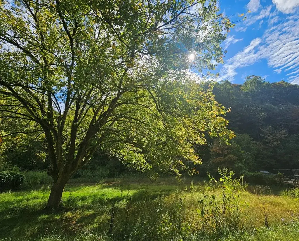 7841 Hwy 1690, Louisa, KY 41230 - Image #1