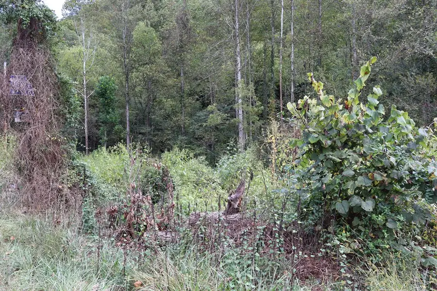 0 Rt 7 (db 94 Dp 399), Royalton, KY 41464 - Image #2