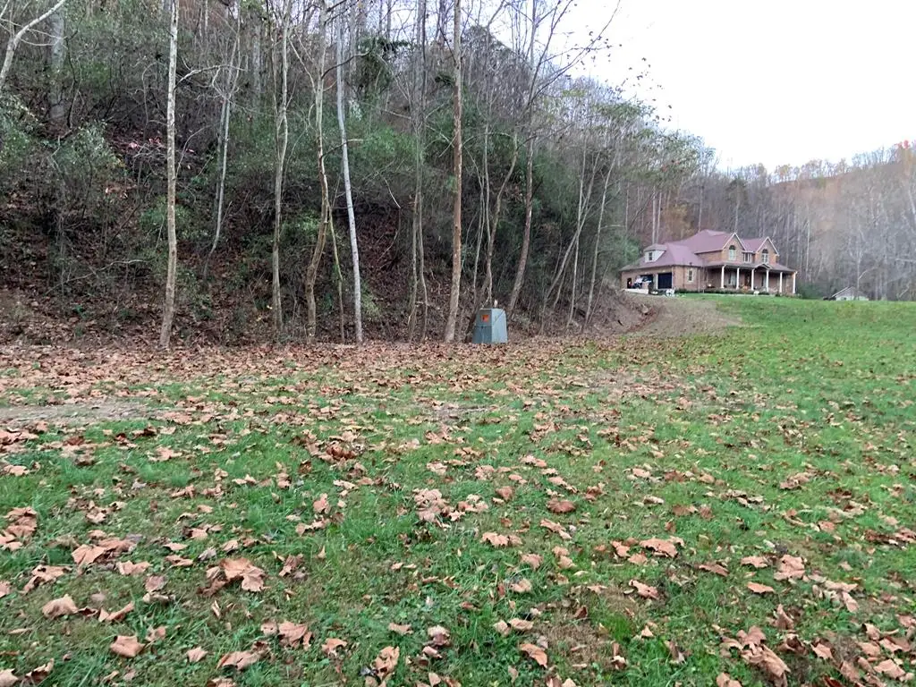 0 Walnut Drive, Abbott Creek, Prestonsburg, KY 41653 - Image #1