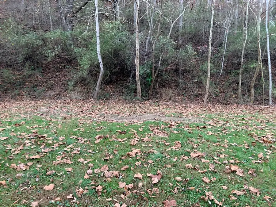 0 Walnut Drive, Abbott Creek, Prestonsburg, KY 41653 - Image #2