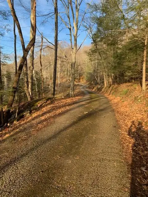 000 Lick Branch Maces Creek Road, Viper, KY 41774